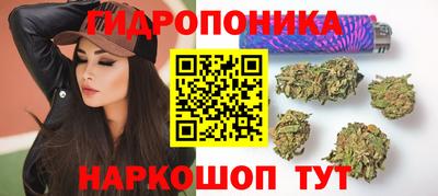 СК Донецк
