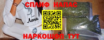 СК Донецк