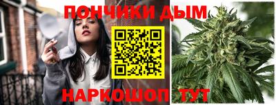 СК Дубна