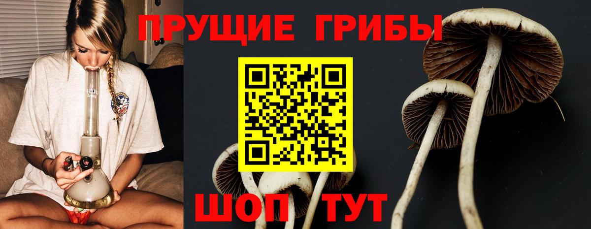 Мценск  Псилоцибиновые грибы Magic Shrooms  Вход с VPN 